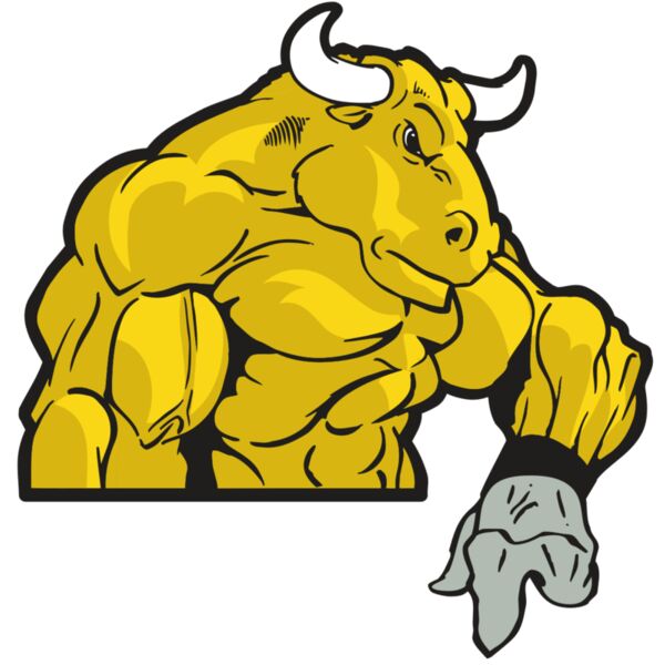 AR BULL 13 RC Thumbnail